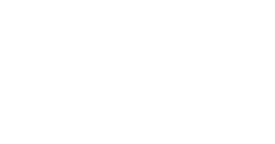 Newcomer Job Fair